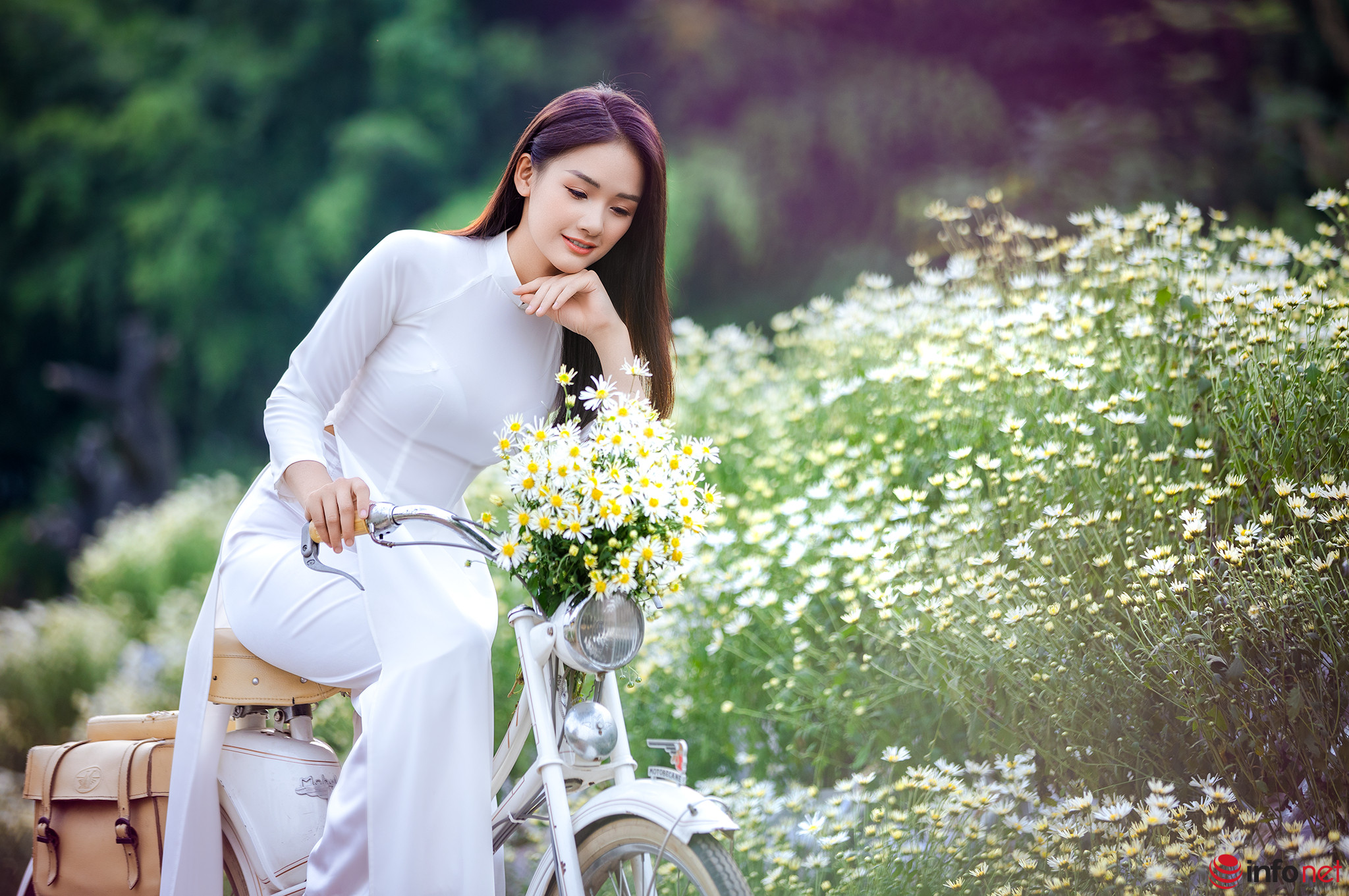 Nỗi nhớ mùa đông