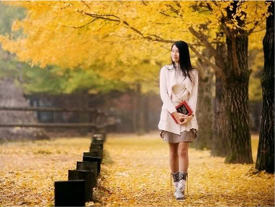 Em gửi gì vào đông